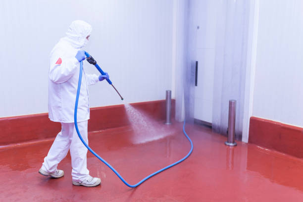 Best Graffiti Removal  in Milaca, MN
