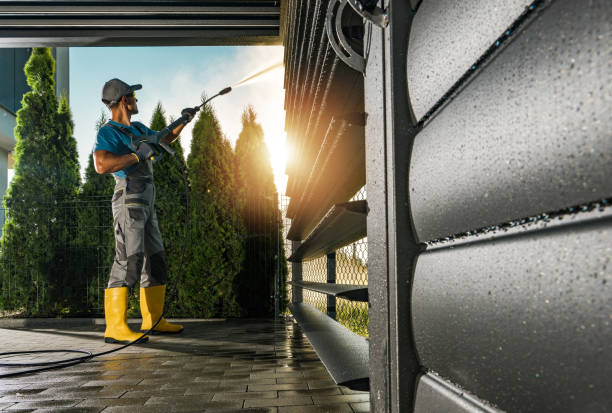 Best House Exterior Washing  in Milaca, MN